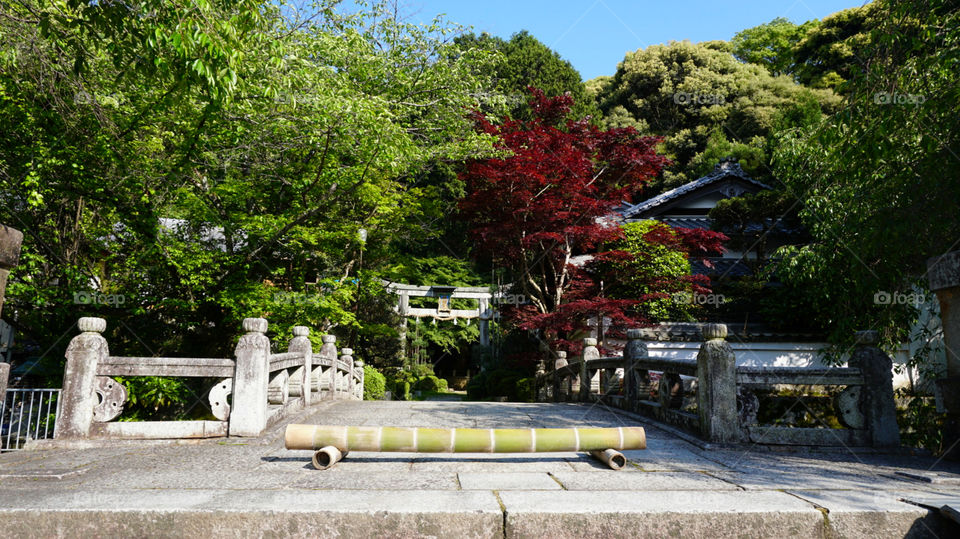 Japan Tracks - Ancient Garden