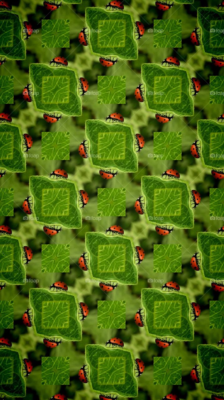 Ladybug Kaleidoskop 
