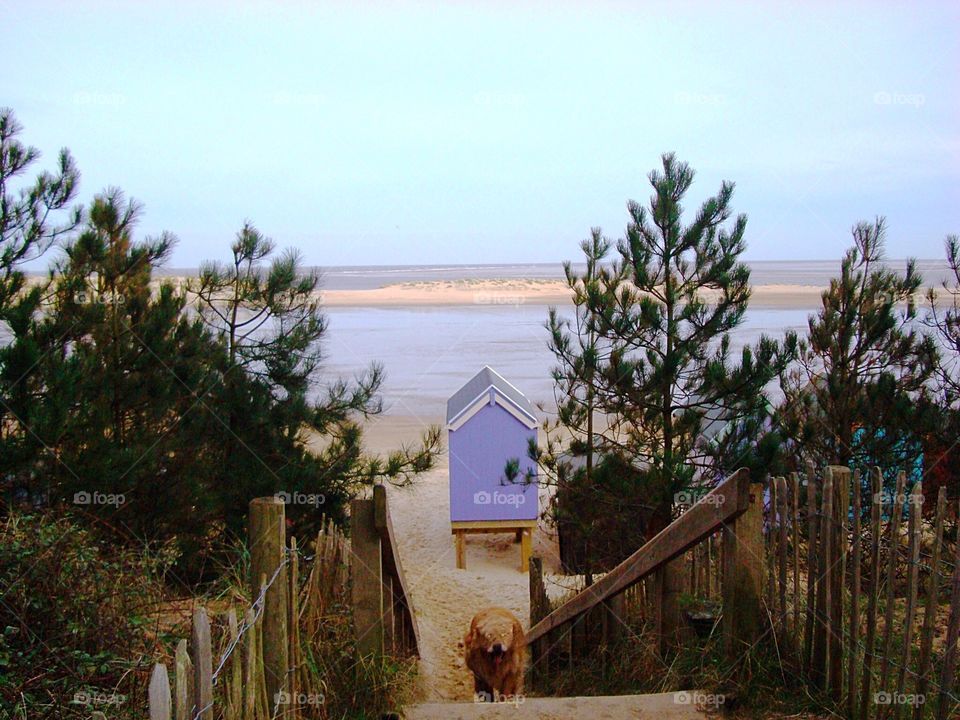 Beach Hut, Wells next the Sea beach, North Norfolk Coast. UH