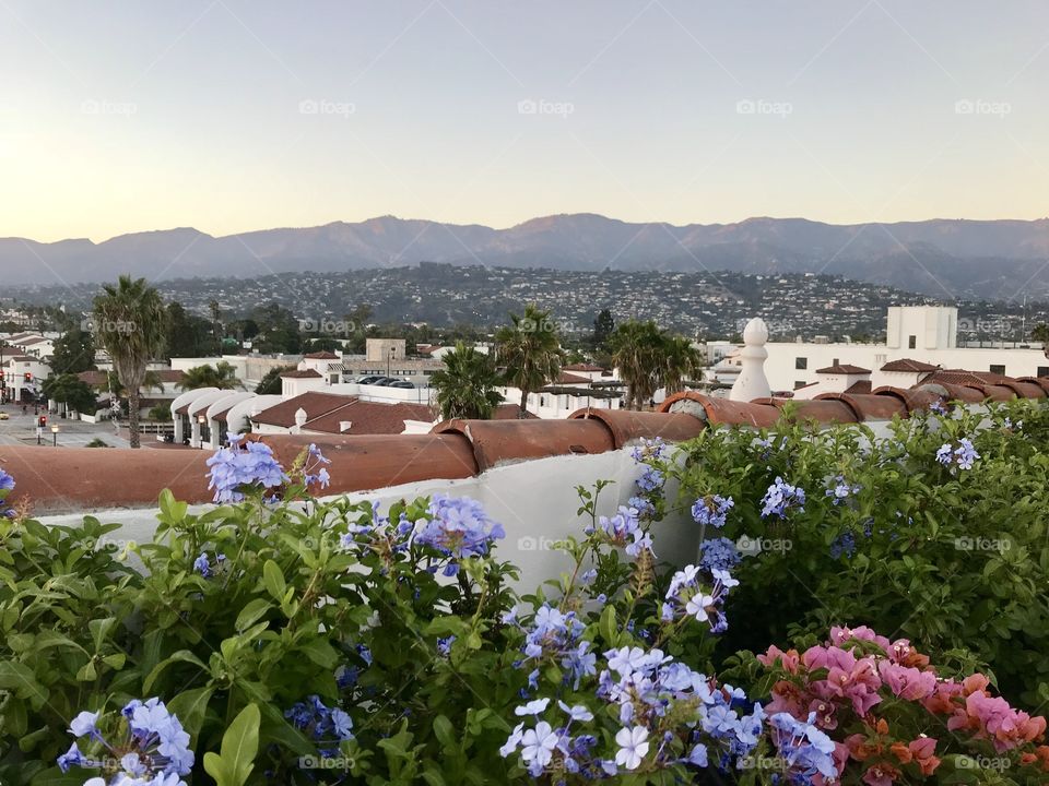 Wedding Rooftop at the Hotel California in Santa Barbara 