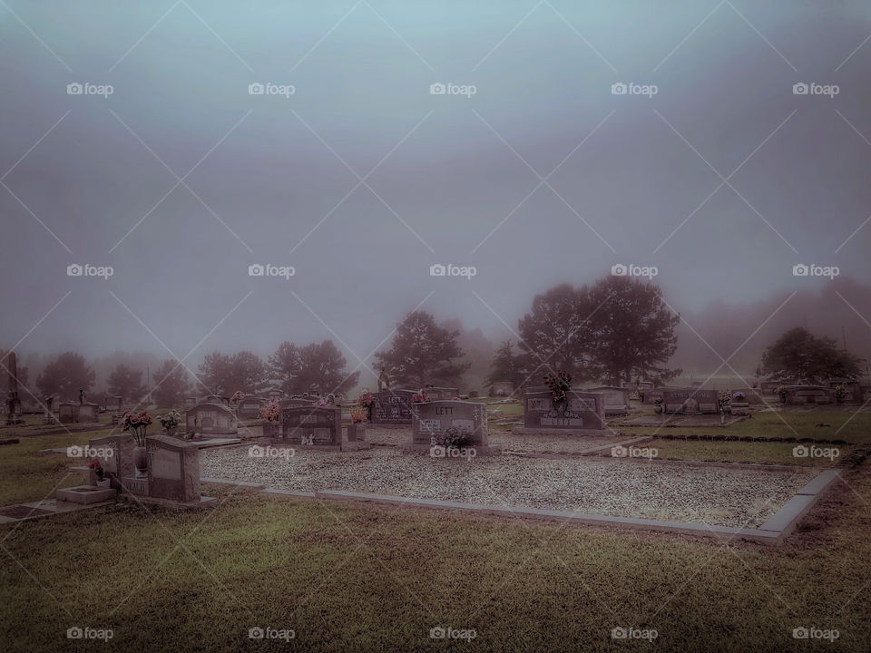 The End of Things Flesh