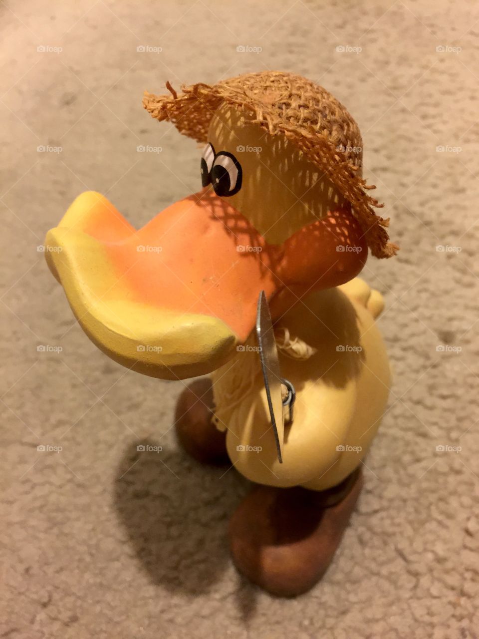 My duck