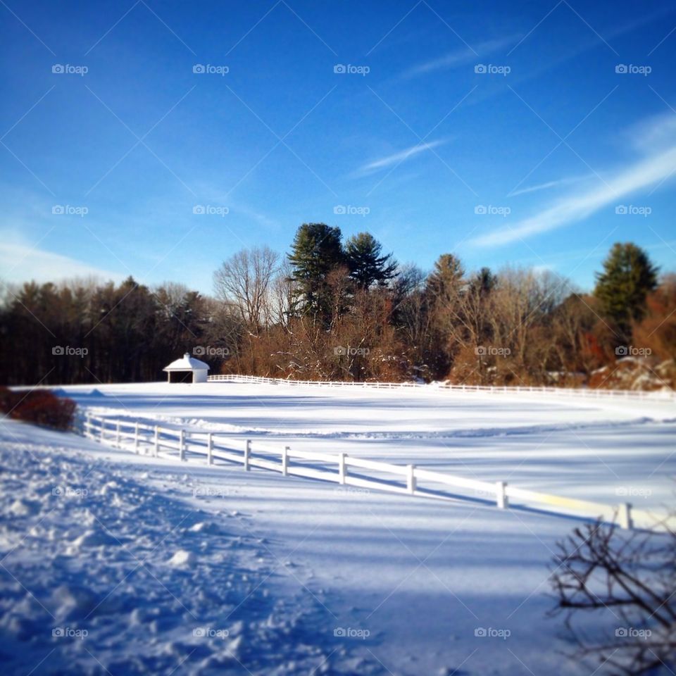 Snowy fields