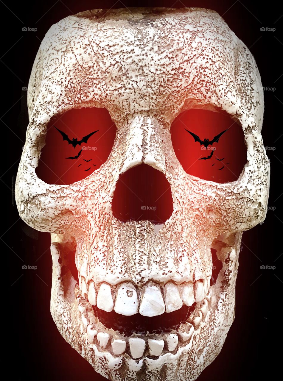 Human skull. Creepy human skull
