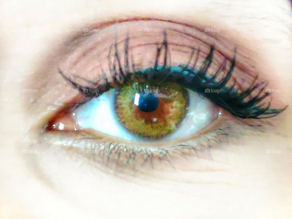 Macro photo  _Close UP of beautiful green eye