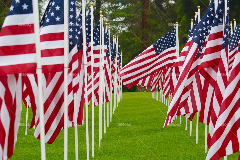 US Flags 