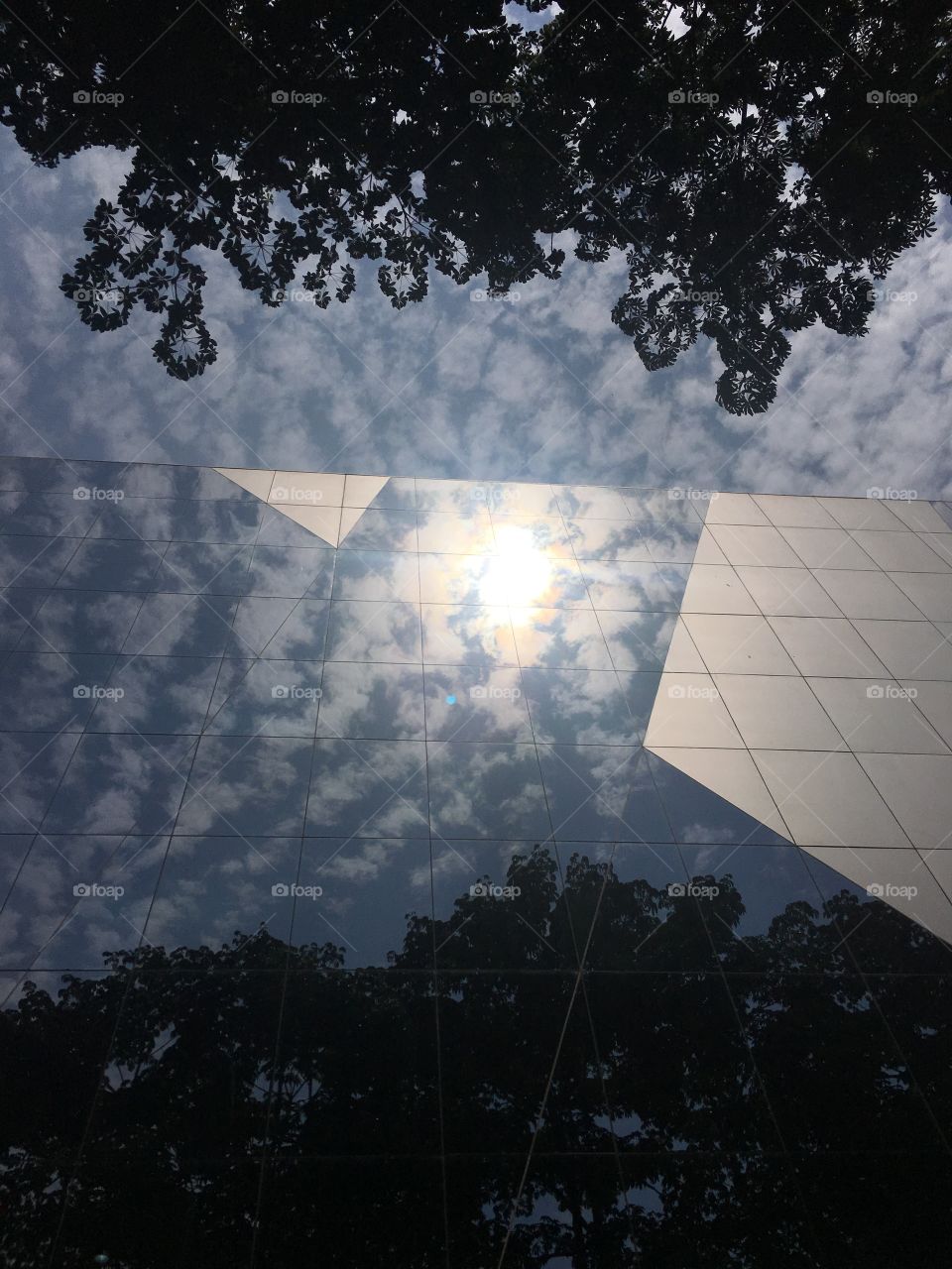 Here is a twist! Half of the picture is actual sky and other half is the reflection of sky in a glass building! 