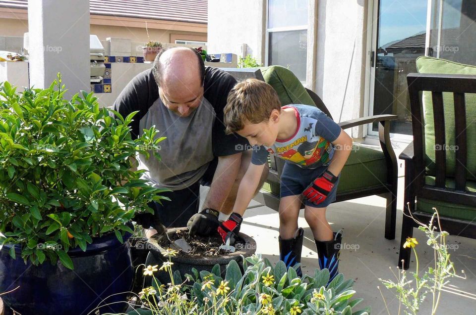 Gardening