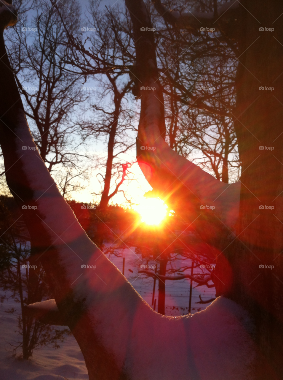 snow winter sky sunset by marit.anteskog