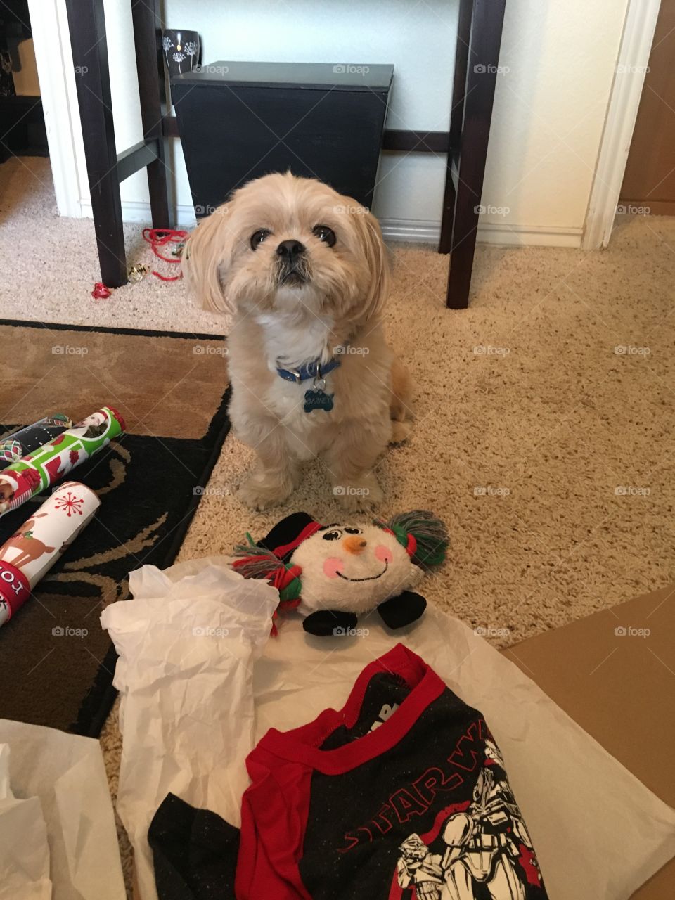Please Wrap my Snowman Toy