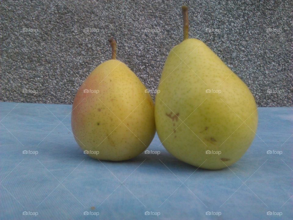 Two ripe pears