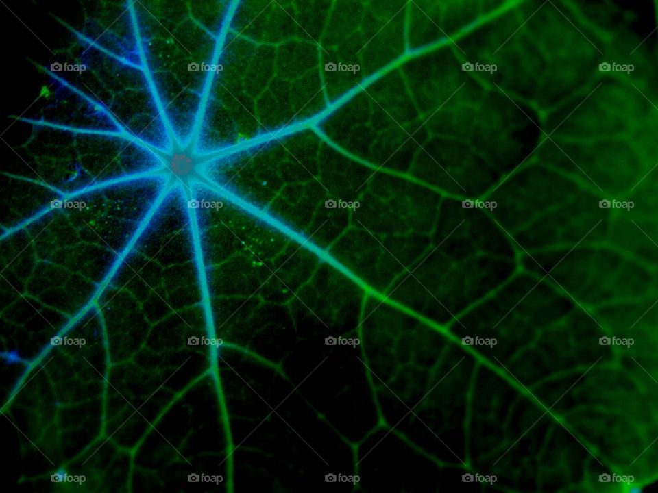 Desktop, Abstract, Texture, Pattern, No Person