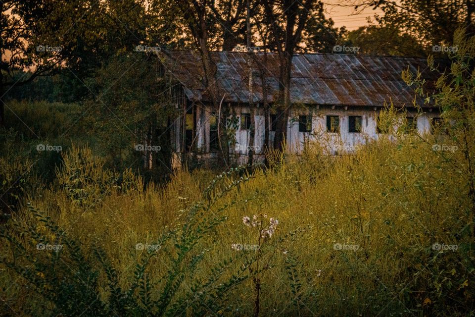 Abandoned Barn