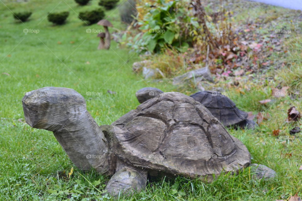 Turtles. Made in Wood. Giant turtles on lawn 