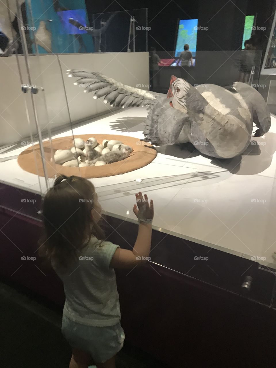Toddler engaged in learning at the science museum- learning about dinosaurs!