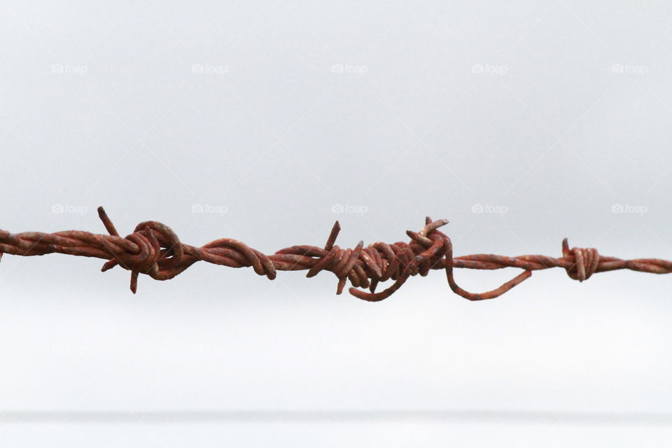 Rusty Barbed Wire