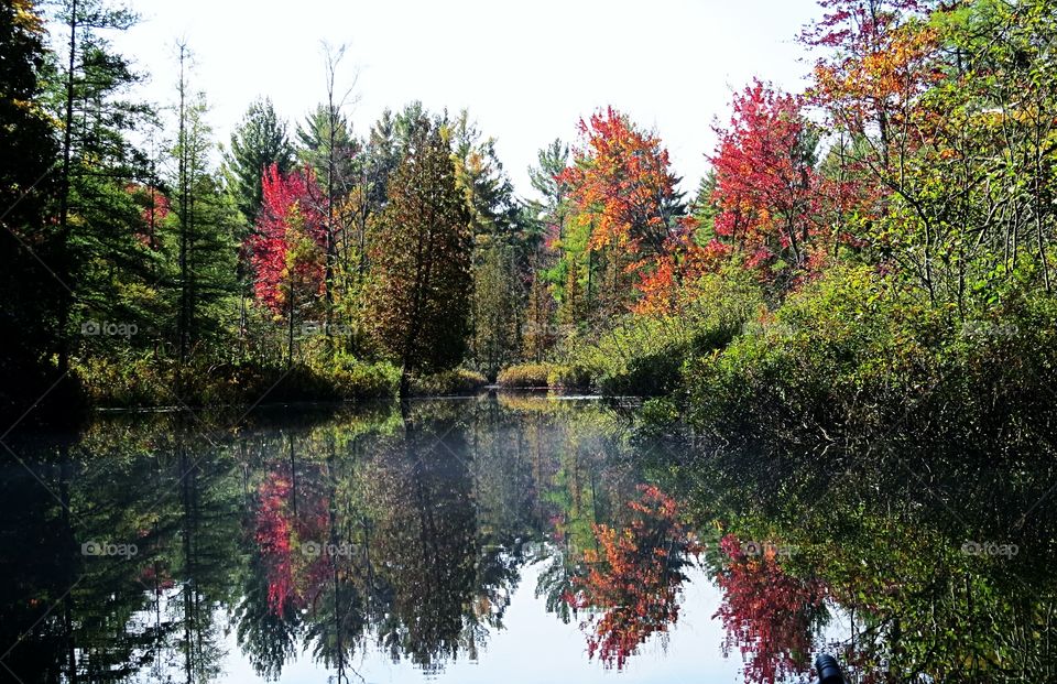 Captivating Colors reflect on Tributary