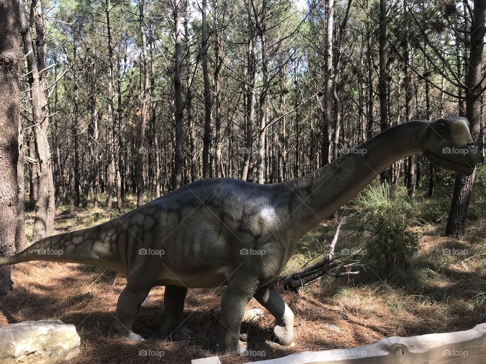 Dino parque Lourinhã 