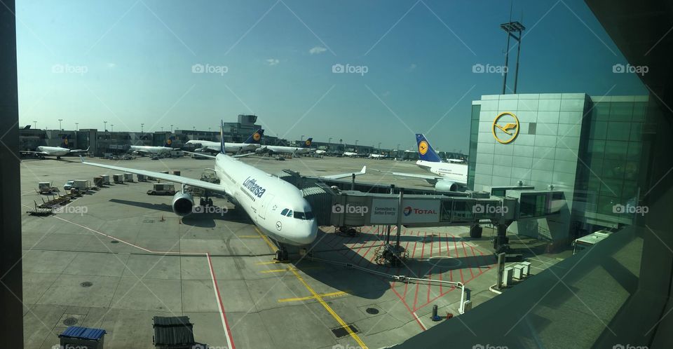Lufthansa Airplane in Frankfurt Airport