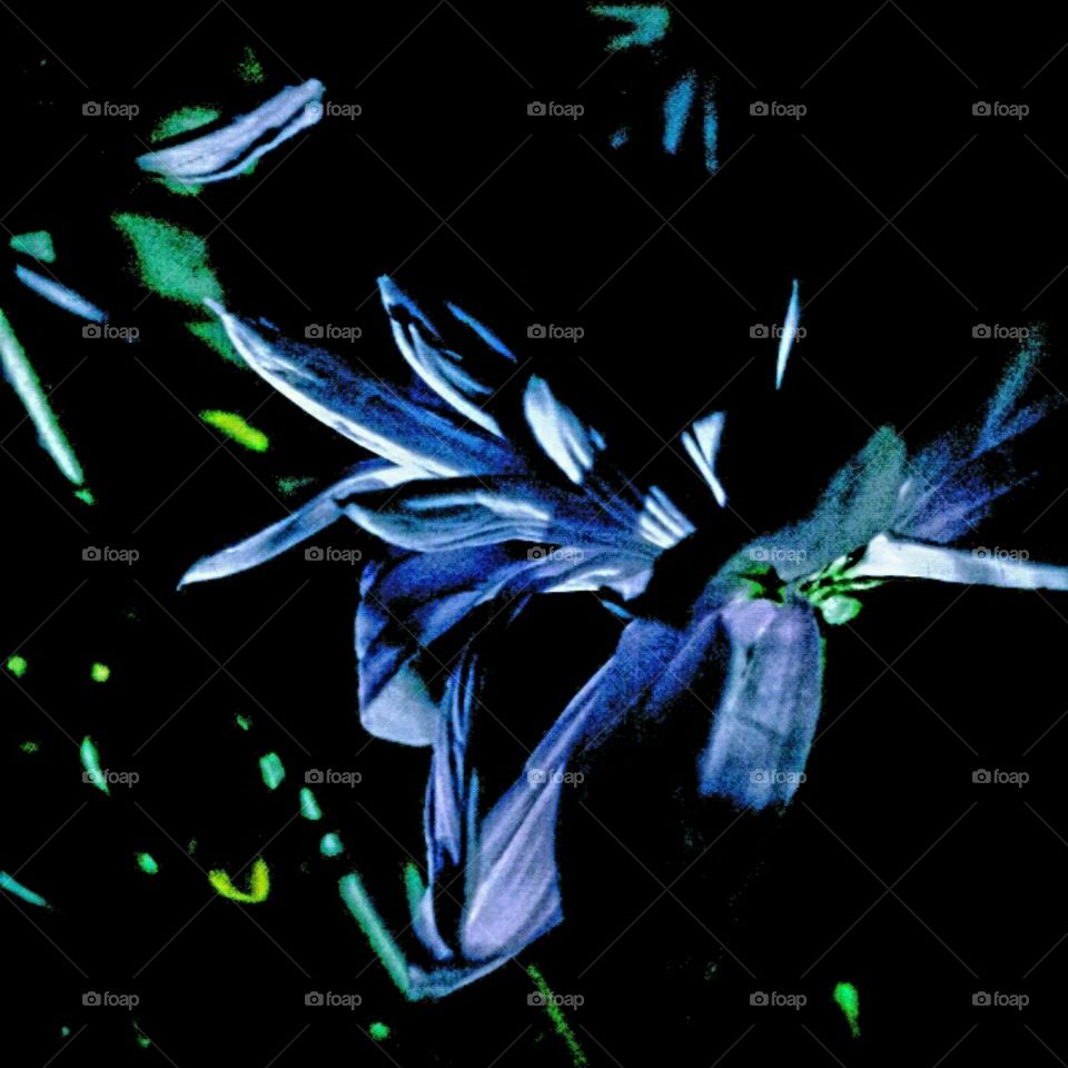 pom pom. lighting effects