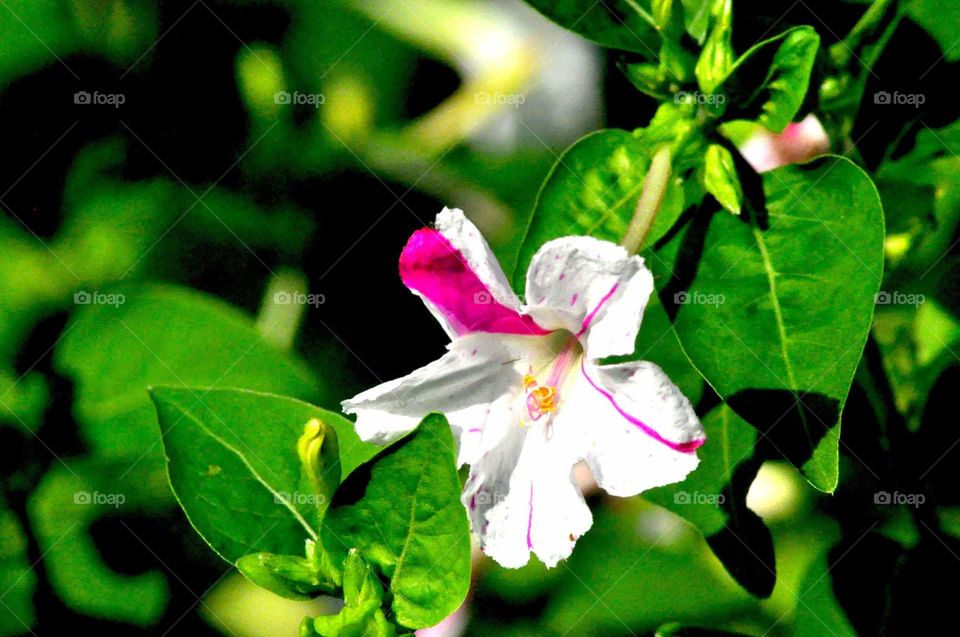 --A little bit red....