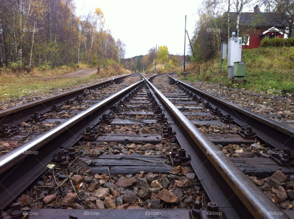 trees fall railway höst by istvan.jakob