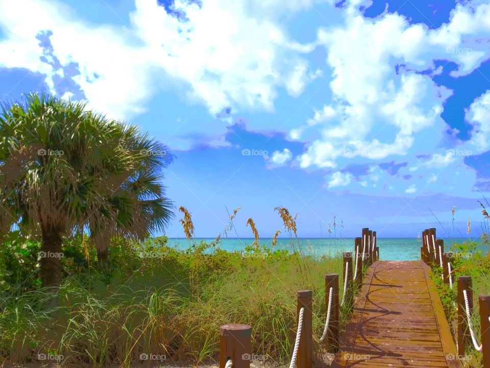 Pathway to Paradise. Barefoot Beach, Florida