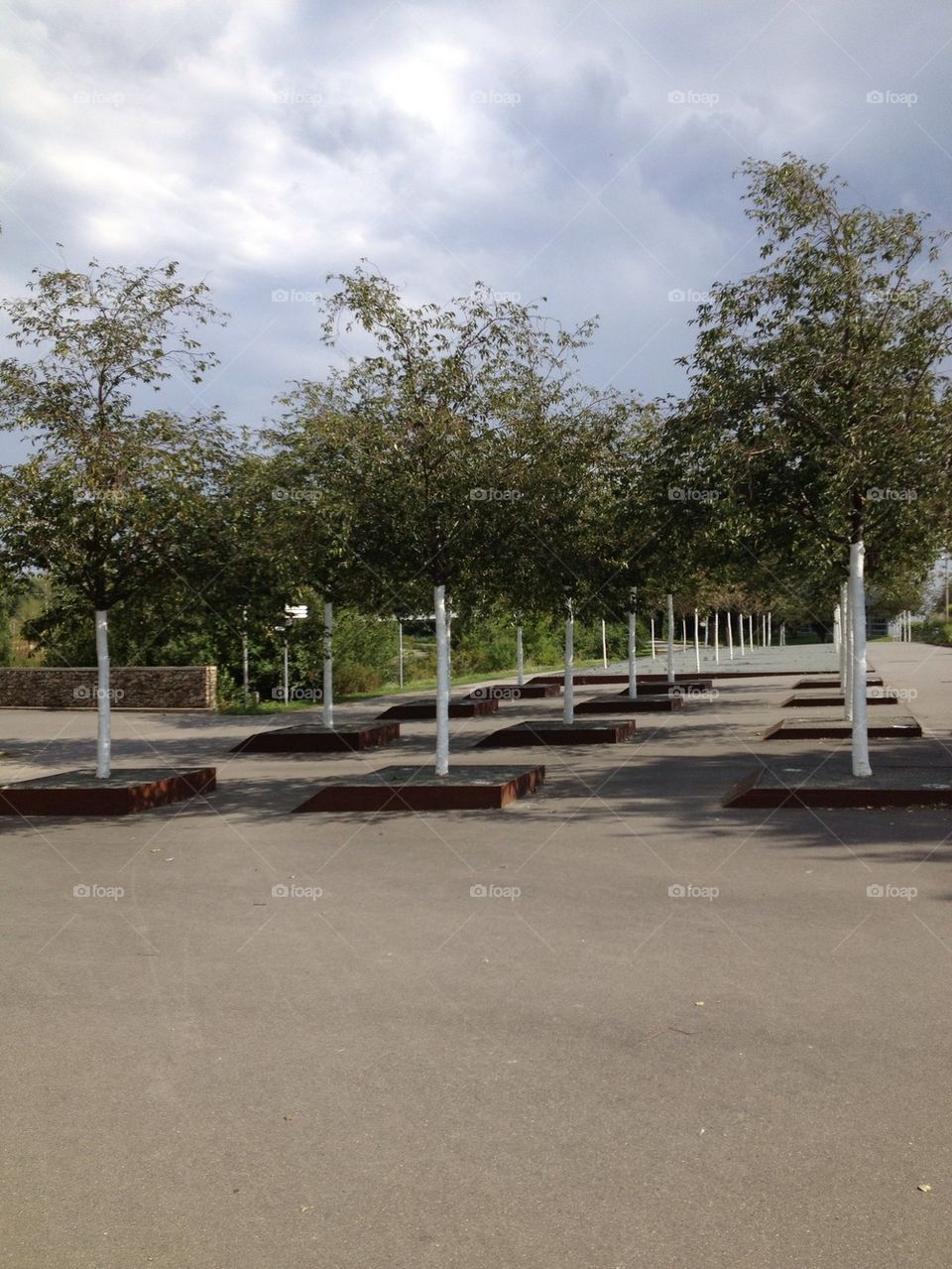 trees park germany by lanocheloca