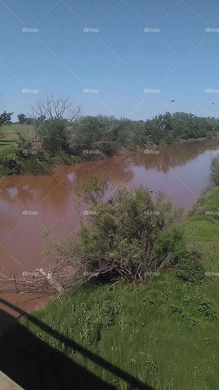 brazos river. captured these birds flying