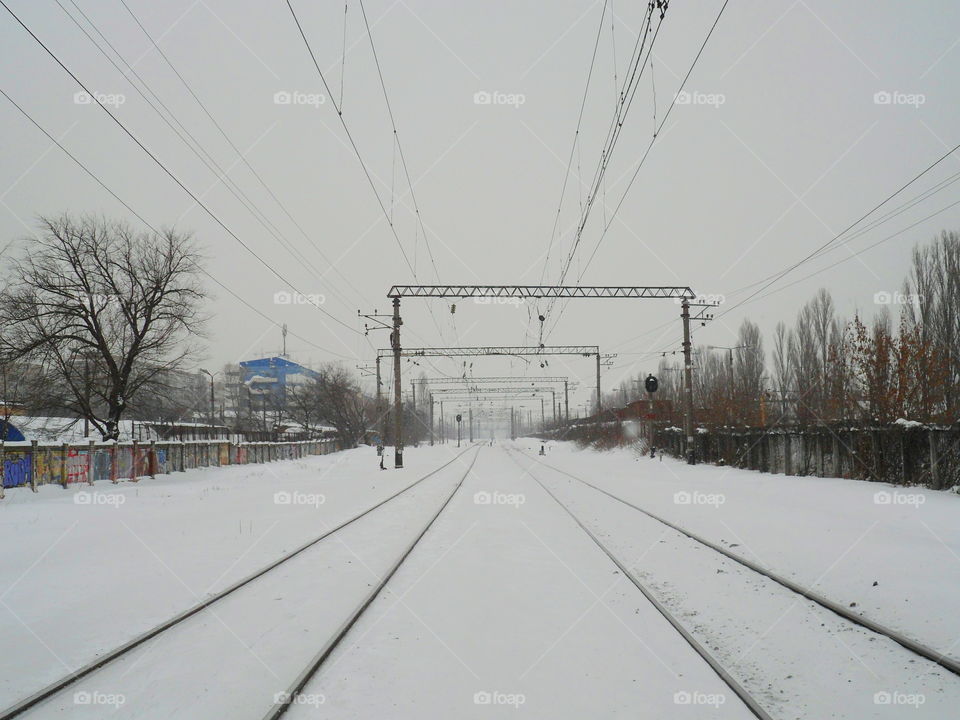 winter landscape in the city of Kiev