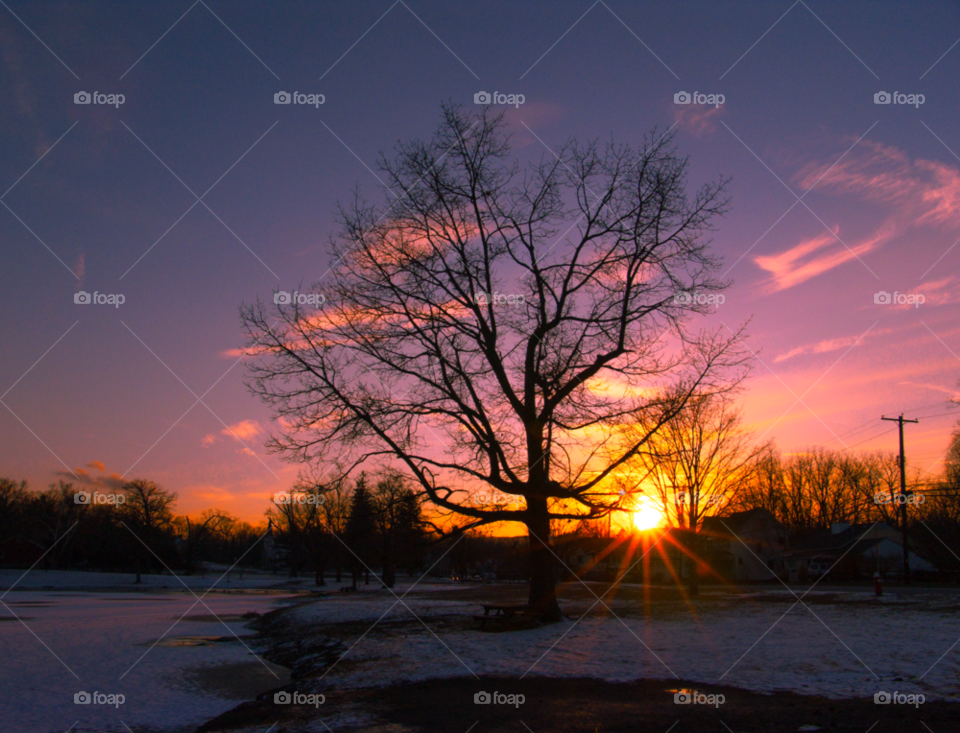 cornwall ny winter tree sunset by delvec