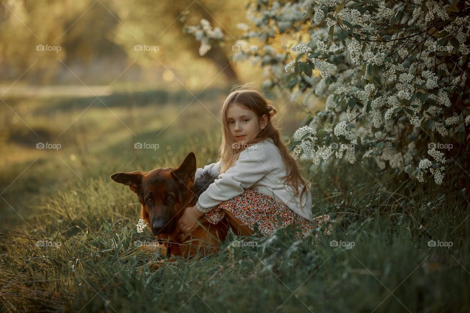 Little girl with her dog in blossom bird cherry in sunny spring  park