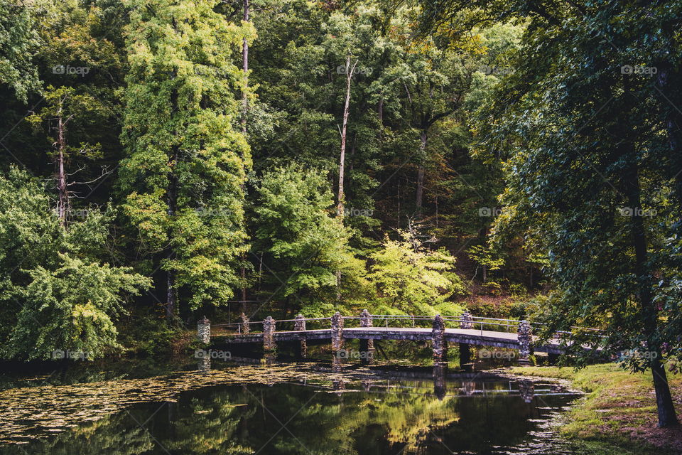 Bridge and pond 