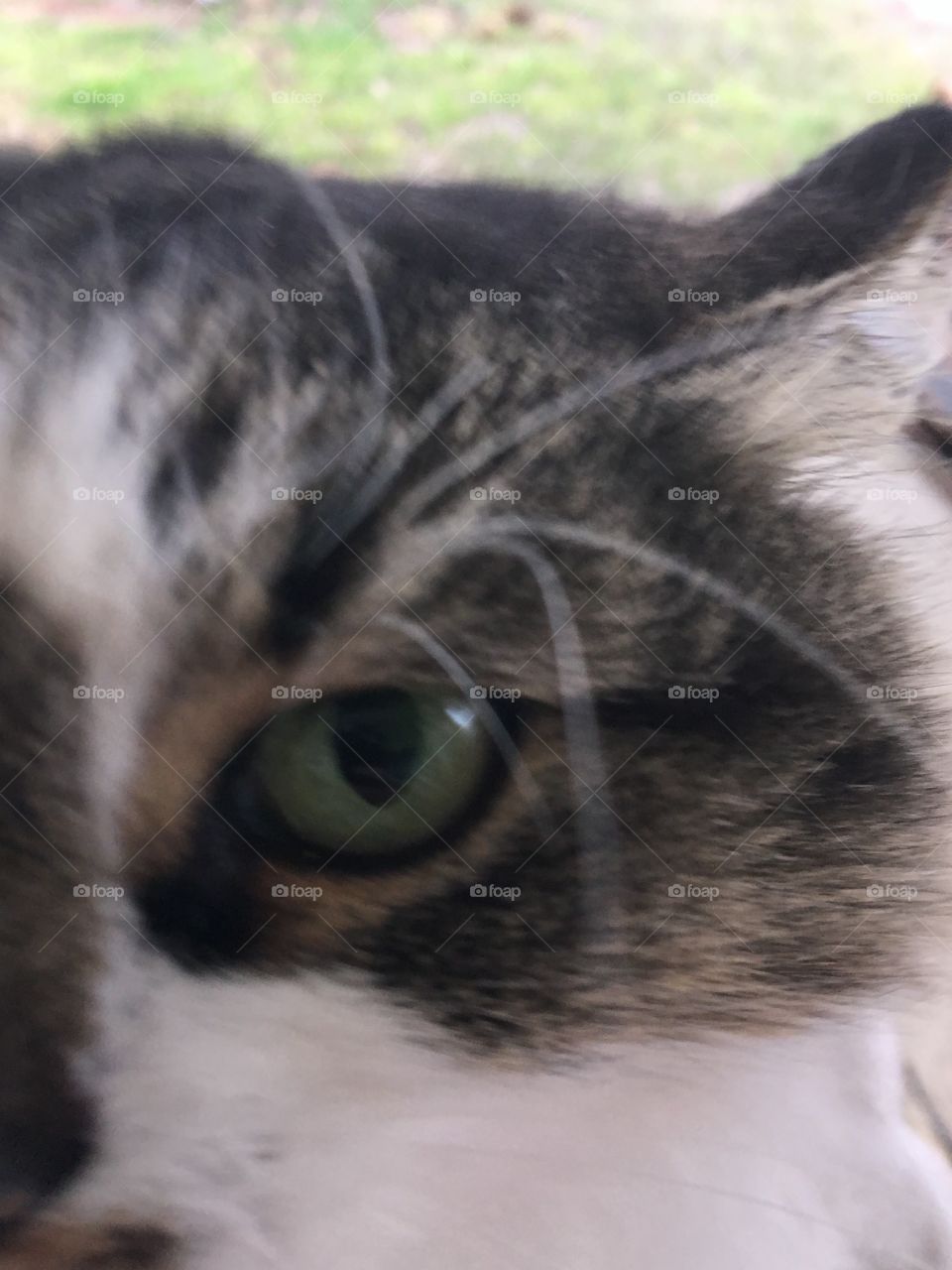 Don’t you take my picture!! Pretty girl with that discussed look. Pretty eye look