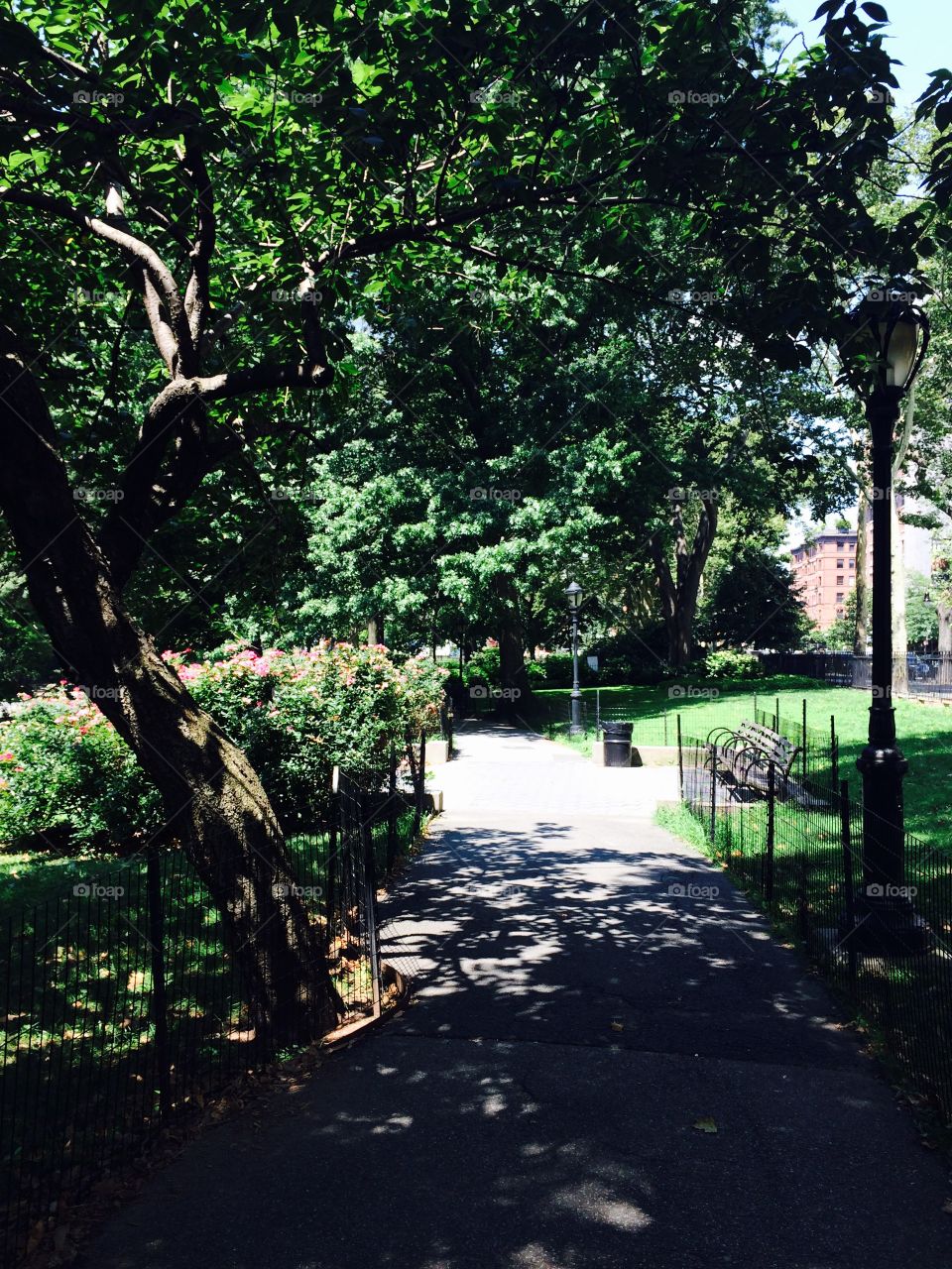 Central Park walk way