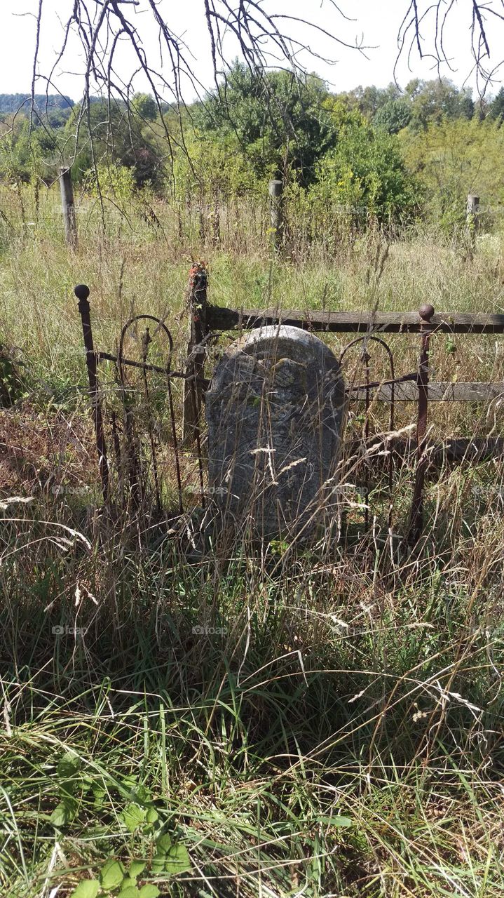 Forgotten, but guarded tombstone in an overgrown rust colored field.