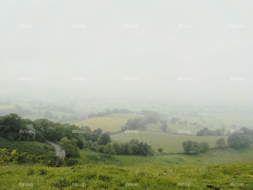  May fields in the mist 