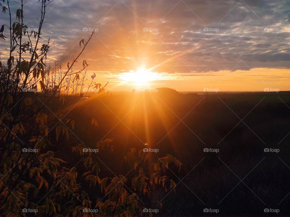 Sunset under a field