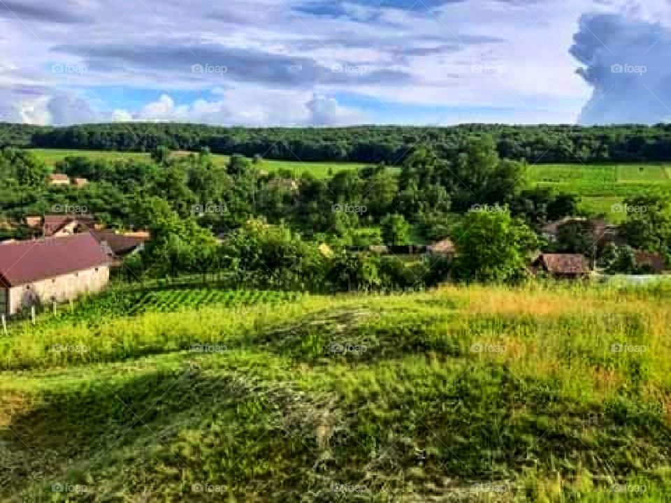 The magical countryside