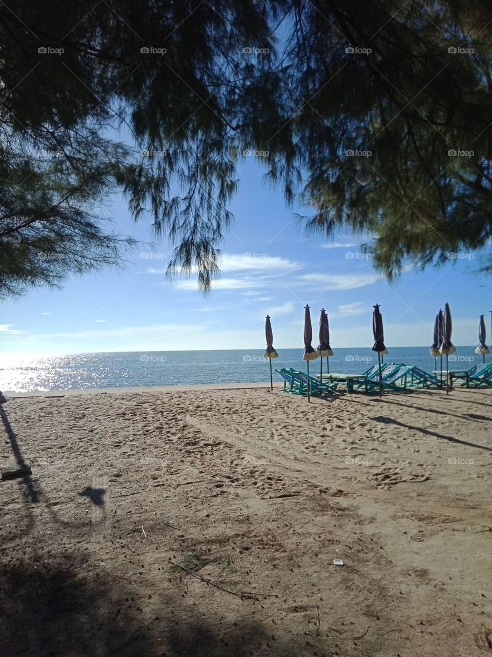 Beach chairs