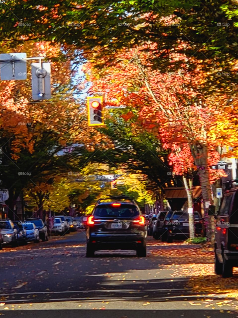 moods of Autumn/ Fall in Oregon