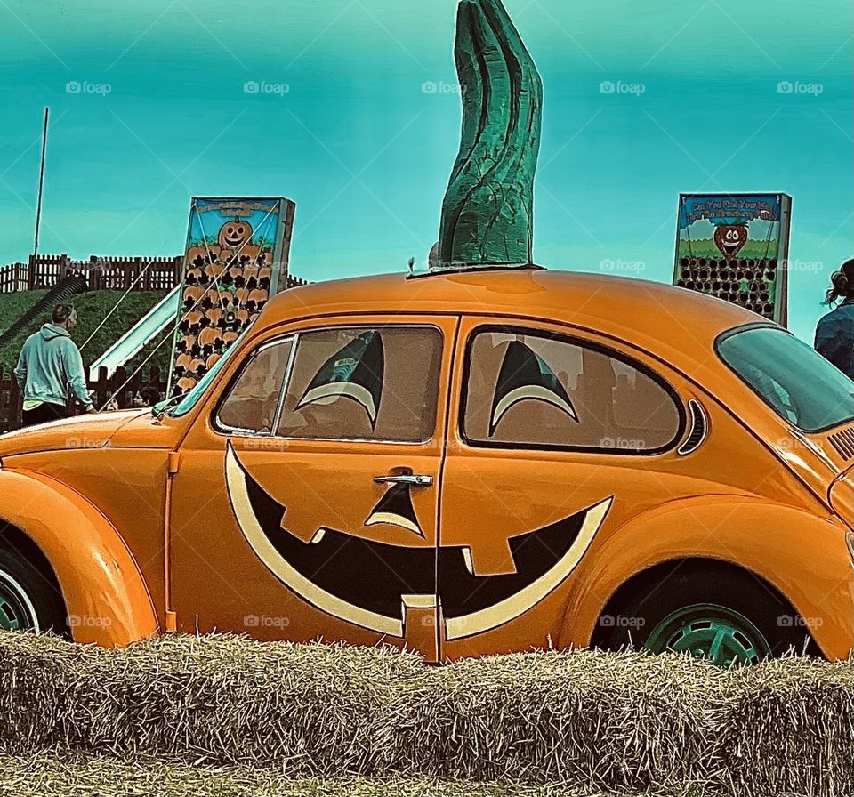 A festive fall adventure 