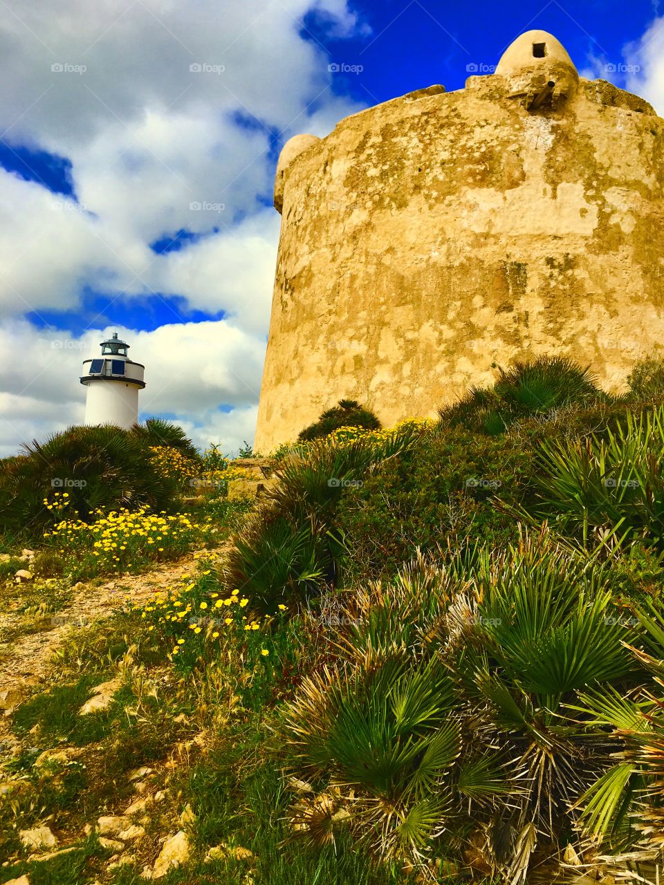 Lighthouse in Alguer🇮🇹