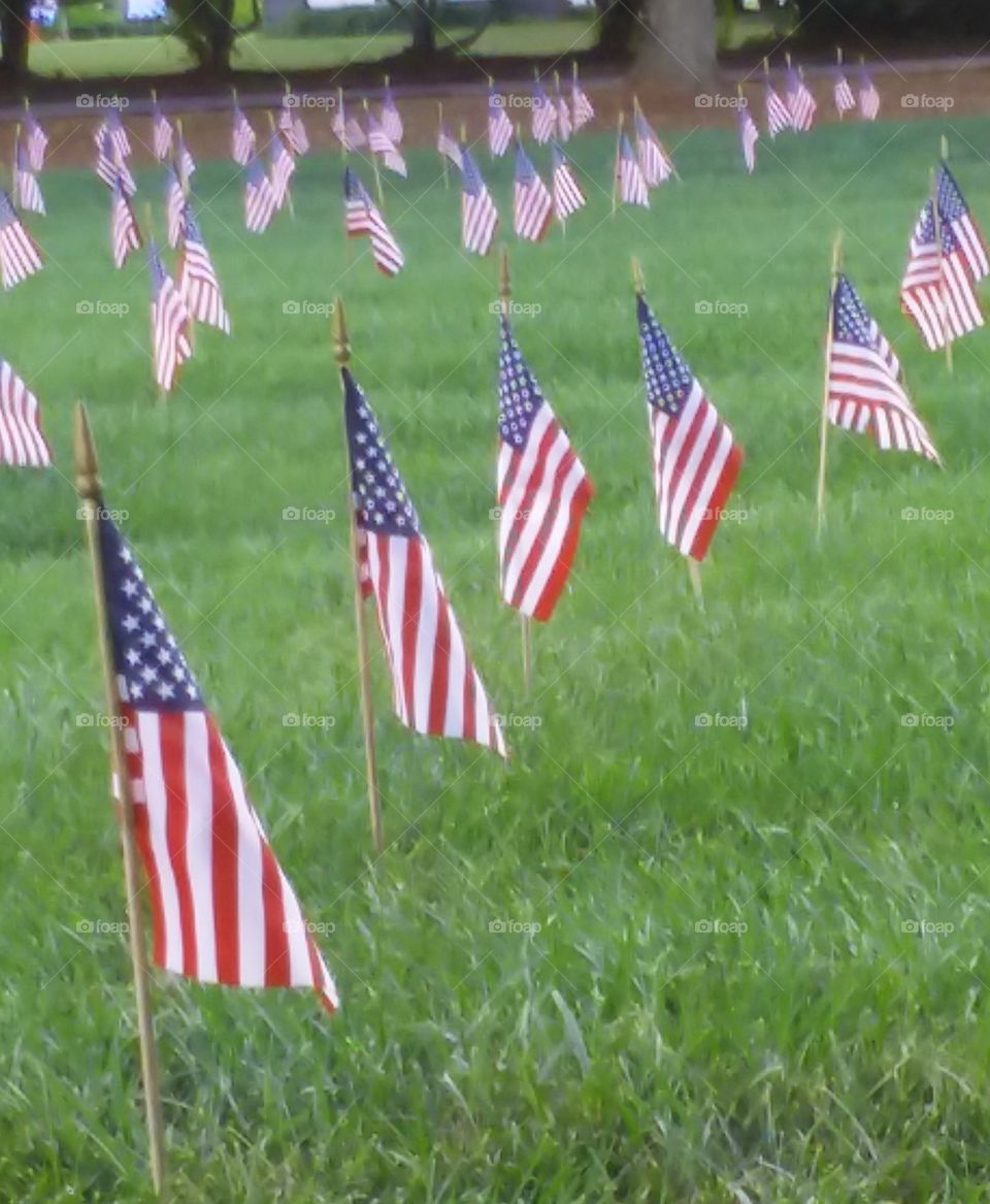little rows of us flags