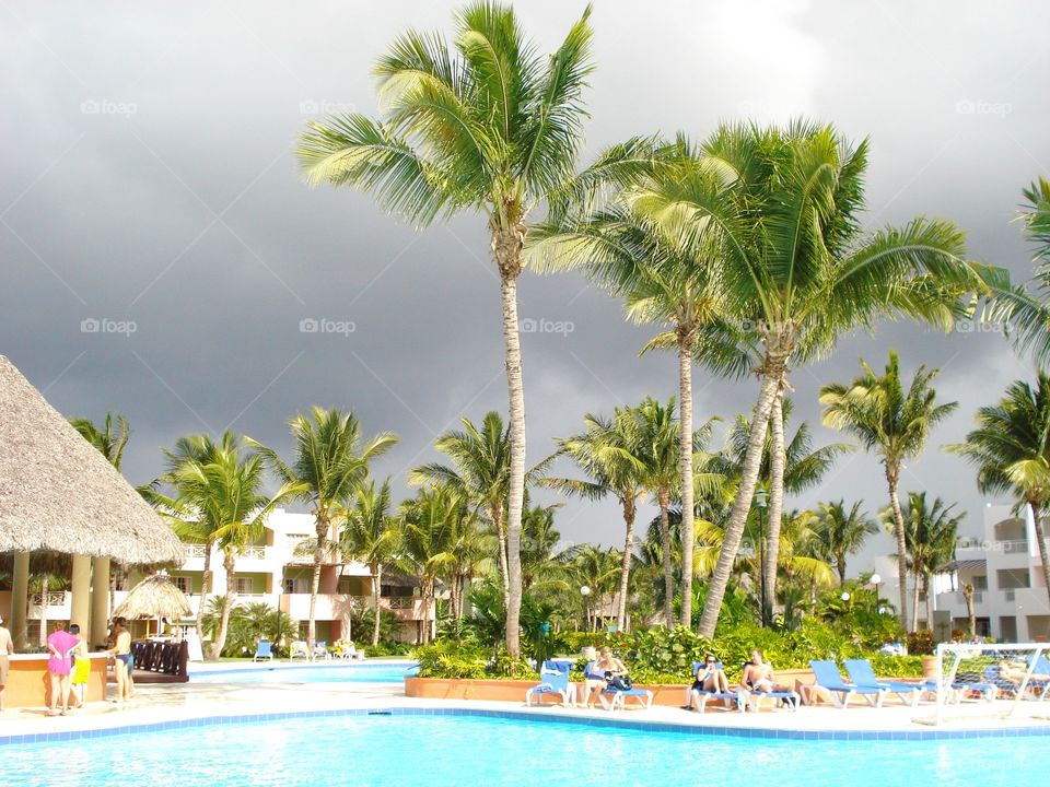 Palm, Beach, Relaxation, Resort, Vacation