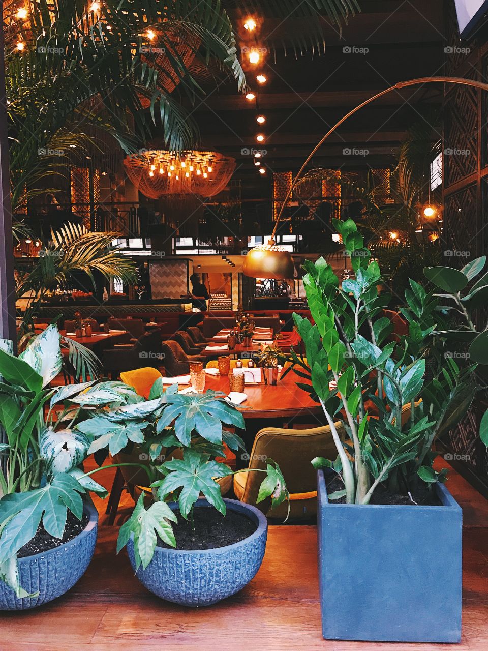 Restaurant interior 