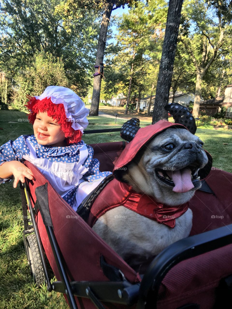 Raggedy Ann and her devil dog