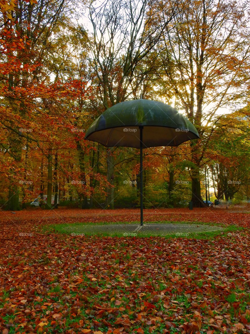 Autumn in the park