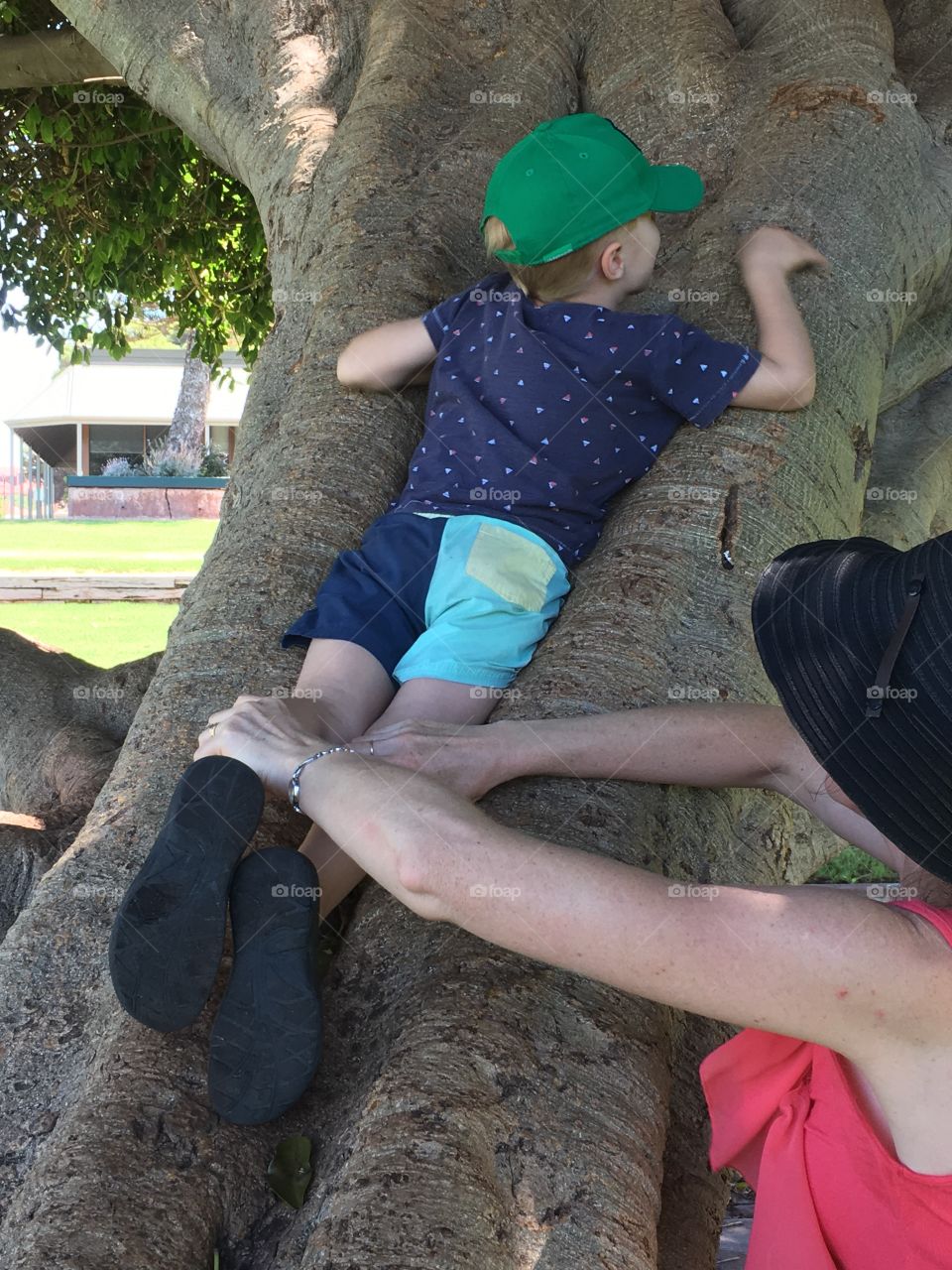 Child (boy) climbing tree, mother helping