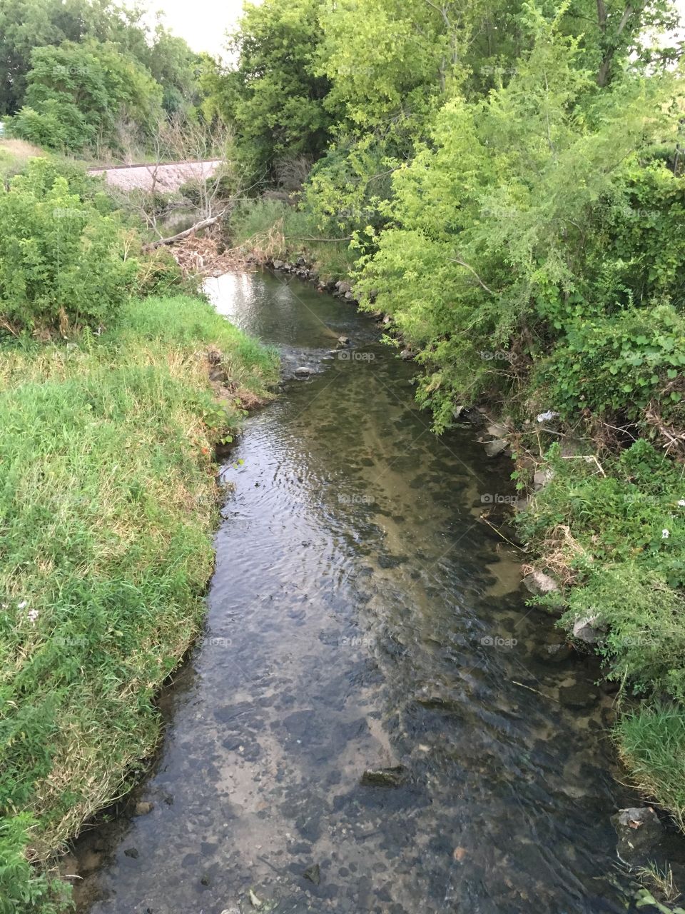 McCloud Run - Iowas only urban trout stream. 